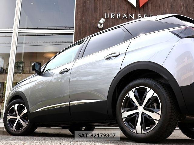 Peugeot 3008 2024-12 902891-9