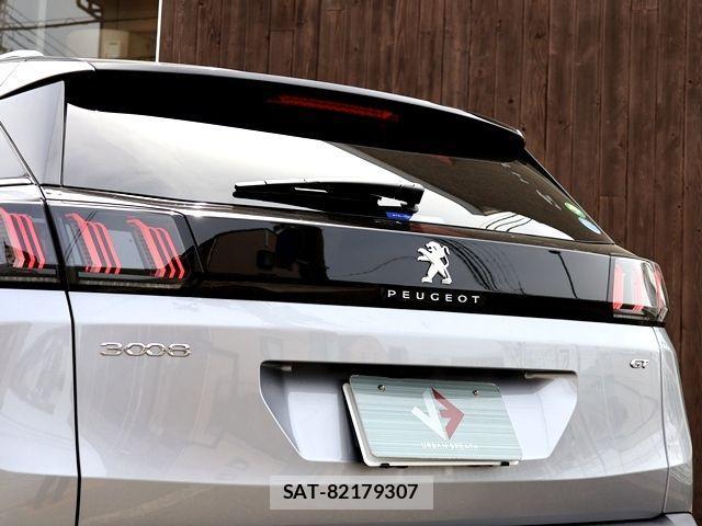Peugeot 3008 2024-12 902891-12