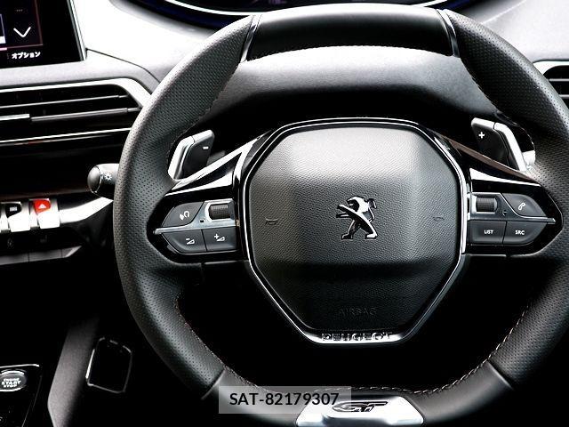 Peugeot 3008 2024-12 902891-14