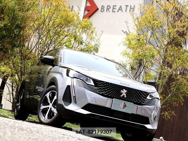 Peugeot 3008 2024-12 902891-3