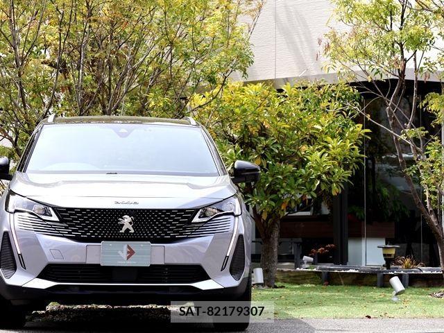 Peugeot 3008 2024-12 902891-4