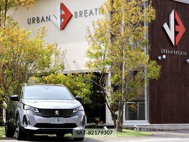 Peugeot 3008 2024-12 902891-5