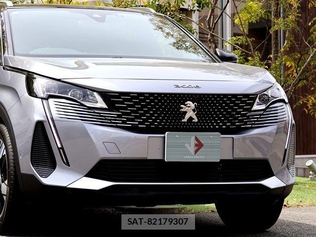 Peugeot 3008 2024-12 902891-7