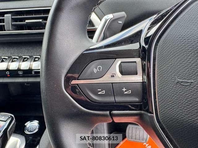 Peugeot 3008 2021-03 5875331-13