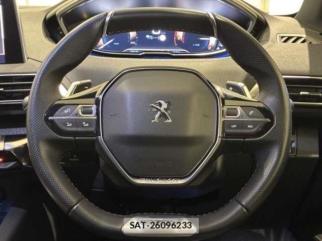 Peugeot 3008 2021-02 6015938-15