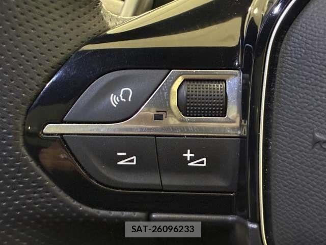 Peugeot 3008 2021-02 6015938-16