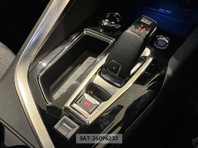 Peugeot 3008 2021-02 6015938-23