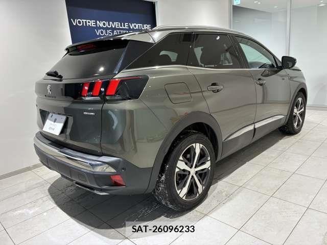 Peugeot 3008 2021-02 6015938-3