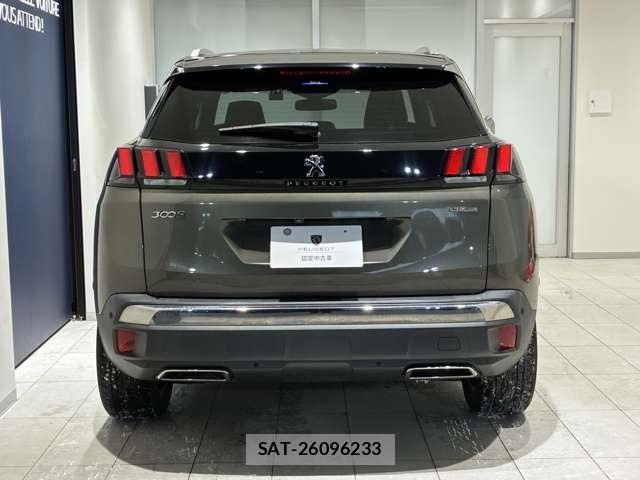 Peugeot 3008 2021-02 6015938-4