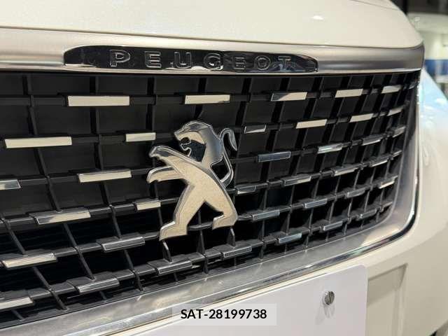 Peugeot 3008 2018-03 6246628-13