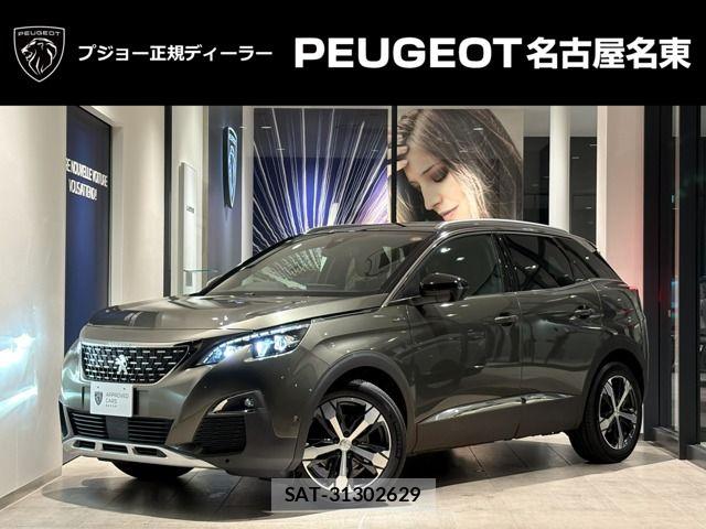 Peugeot 3008 2021-03 6614089-0