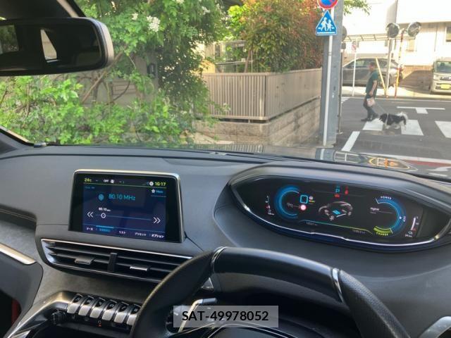 Peugeot 3008 2021-09 6673114-18