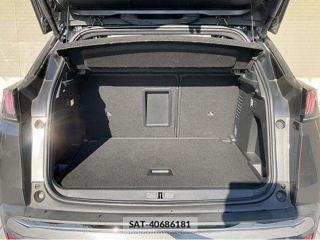 Peugeot 3008 2021-02 6911076-13