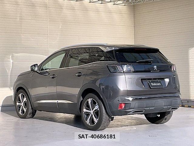 Peugeot 3008 2021-02 6911076-16