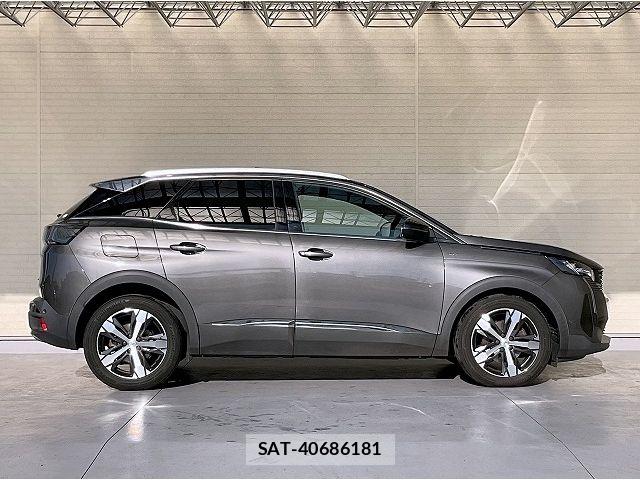 Peugeot 3008 2021-02 6911076-17