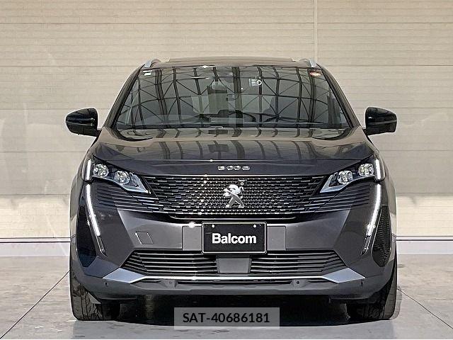 Peugeot 3008 2021-02 6911076-18
