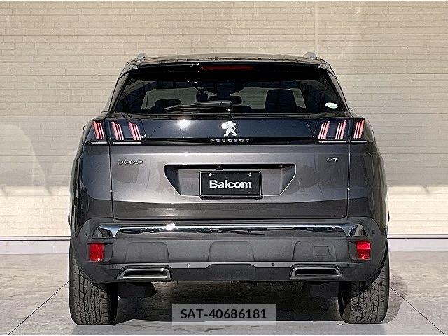 Peugeot 3008 2021-02 6911076-19