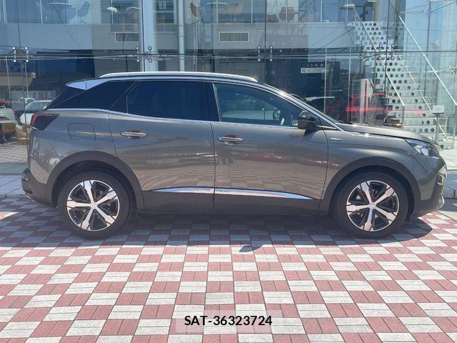 Peugeot 3008 2021-02 7329290-17