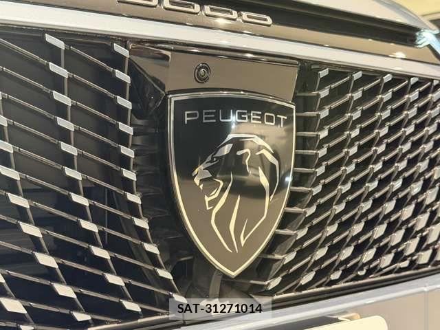 Peugeot 3008 2025-06 7329284-14