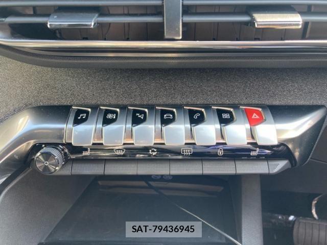 Peugeot 3008 2020-01 7329289-16