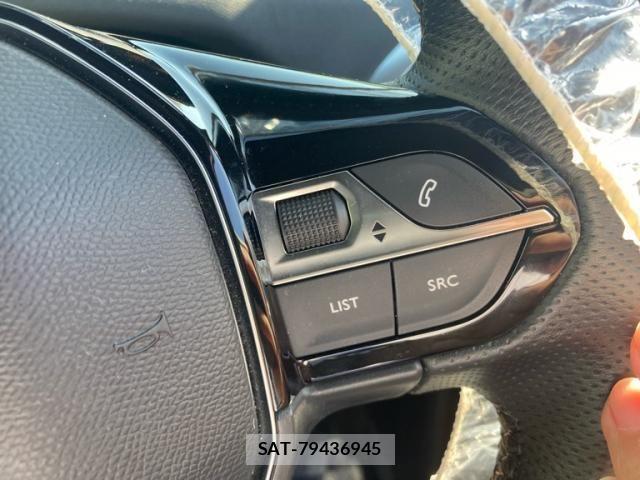Peugeot 3008 2020-01 7329289-19