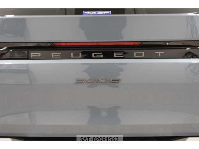 Peugeot 3008 2025-06 7329282-11