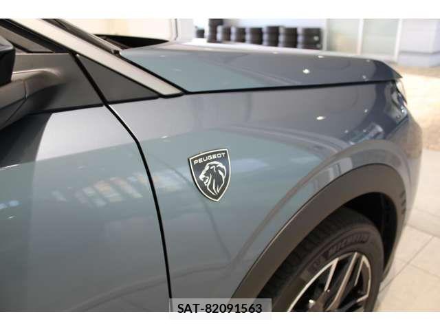 Peugeot 3008 2025-06 7329282-17