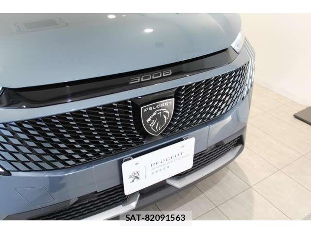 Peugeot 3008 2025-06 7329282-7