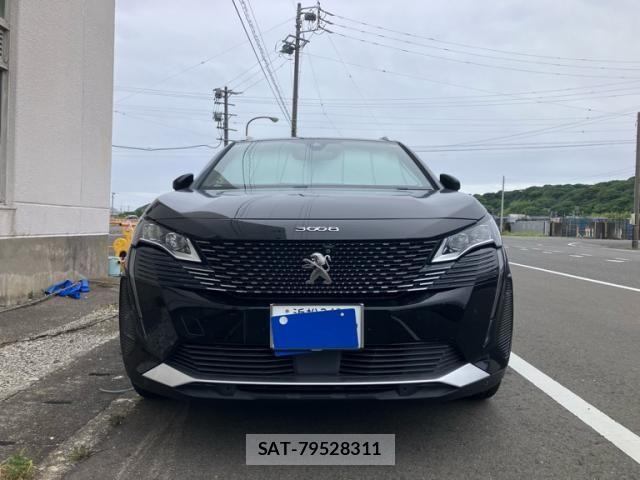 Peugeot 3008 2022-03 7509650-0
