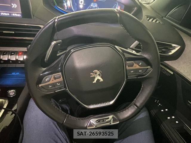 Peugeot 3008 2019-09 7619158-19