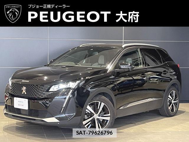 Peugeot 3008 2021-09 7727125-0
