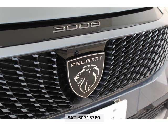 Peugeot 3008 2025-07 7727112-9