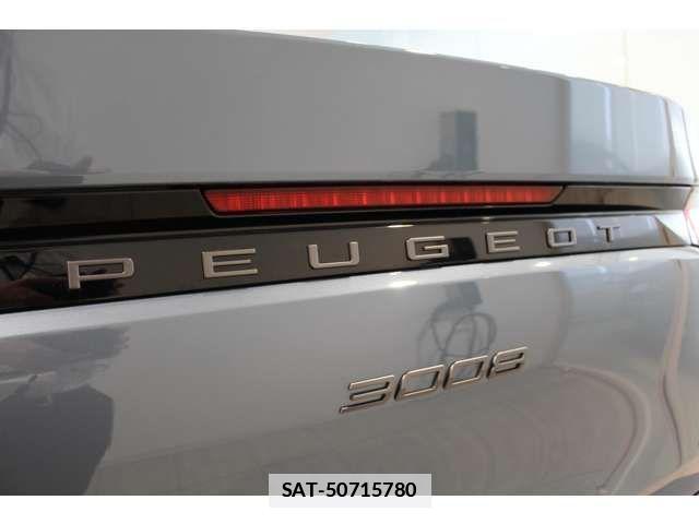 Peugeot 3008 2025-07 7727112-16