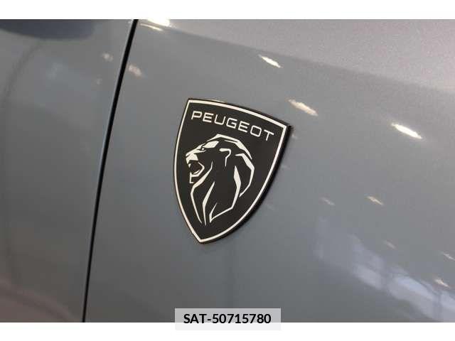 Peugeot 3008 2025-07 7727112-19