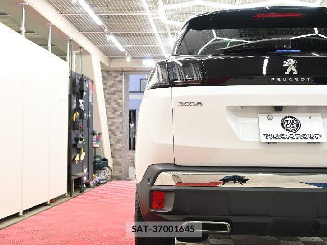 Peugeot 3008 2024-03 7903219-15