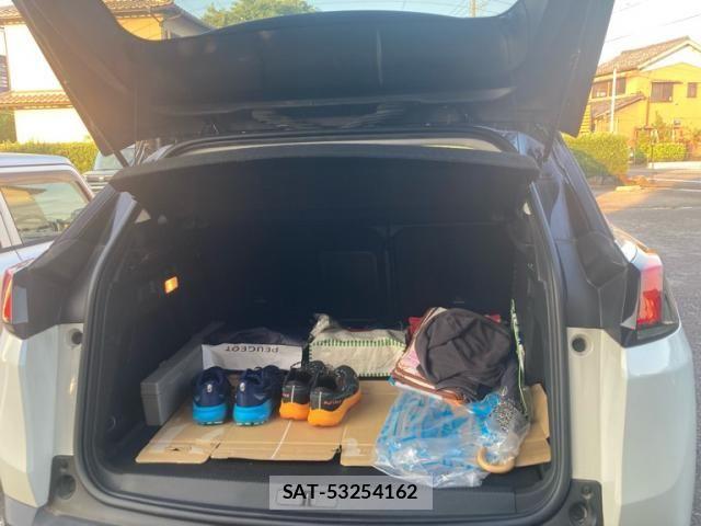 Peugeot 3008 2019-09 8075107-8