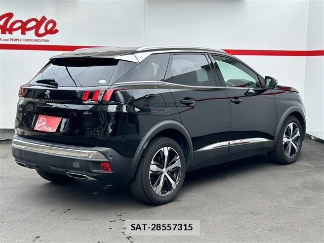 Peugeot 3008 2019-06 8101180-3