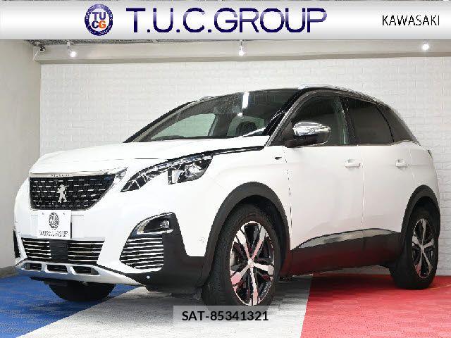 Peugeot 3008 2019-05 8131850-0