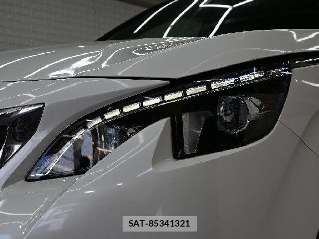 Peugeot 3008 2019-05 8131850-19