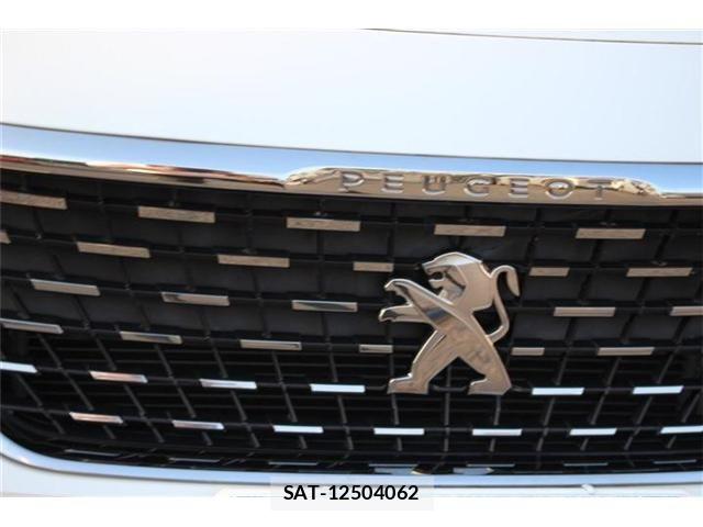 Peugeot 3008 2019-04 8209510-7