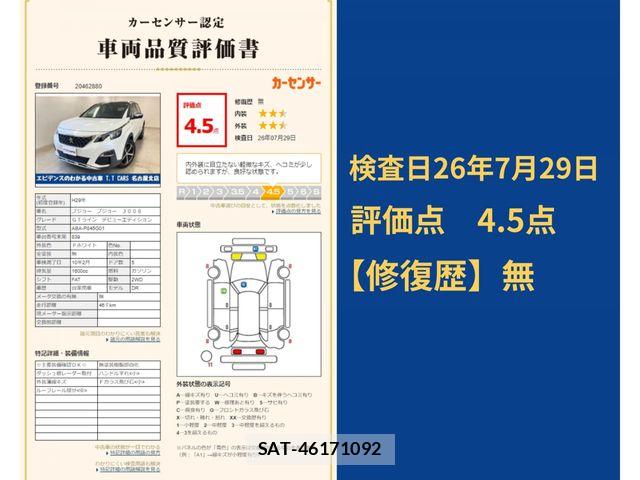 Peugeot 3008 2017-03 8316359-11