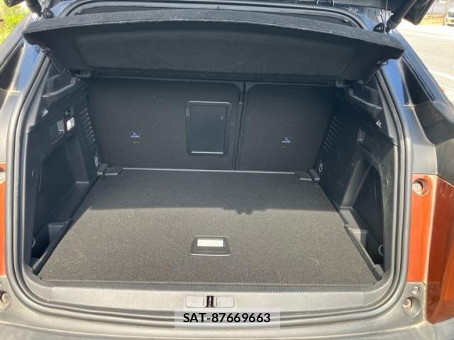 Peugeot 3008 2019-09 8745165-9