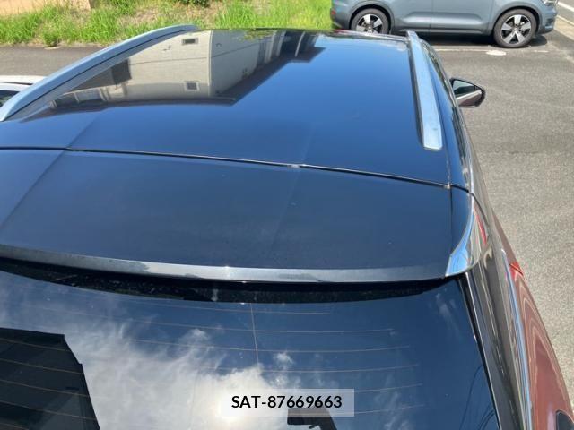 Peugeot 3008 2019-09 8745165-8