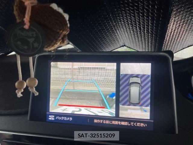 Peugeot 3008 2019-02 8745164-22