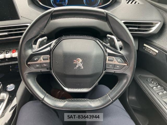 Peugeot 3008 2018-01 8831053-15