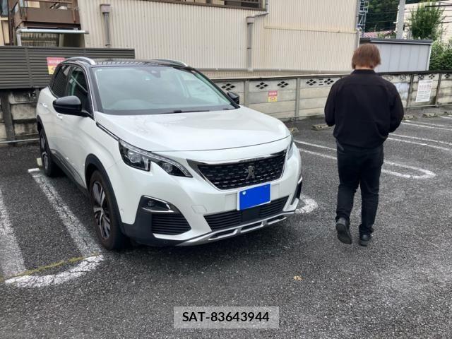 Peugeot 3008 2018-01 8831053-1