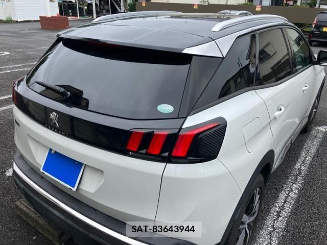 Peugeot 3008 2018-01 8831053-3