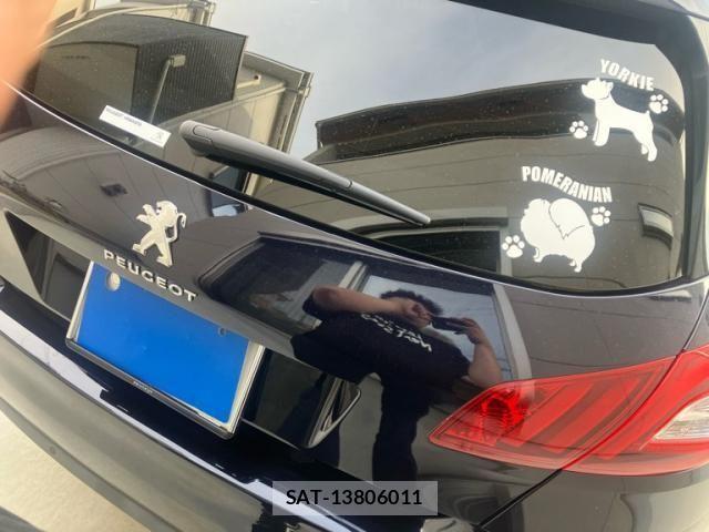 Peugeot 308 2015-06 6911082-8