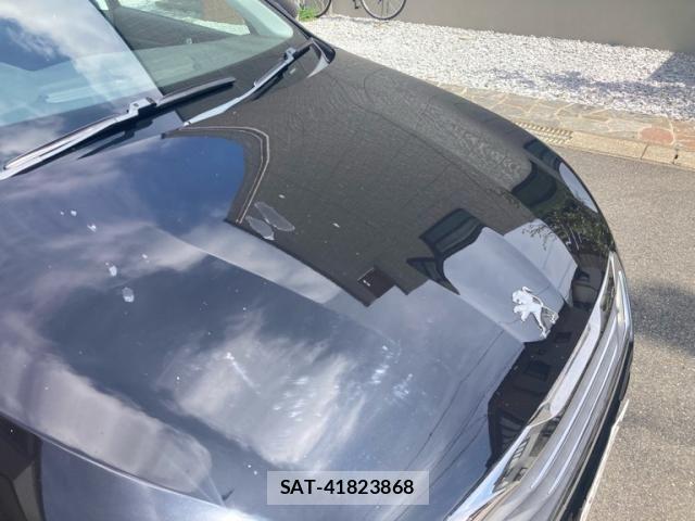 Peugeot 308 2017-10 8745176-14