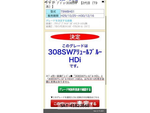 Peugeot 308 2017-10 8745176-20
